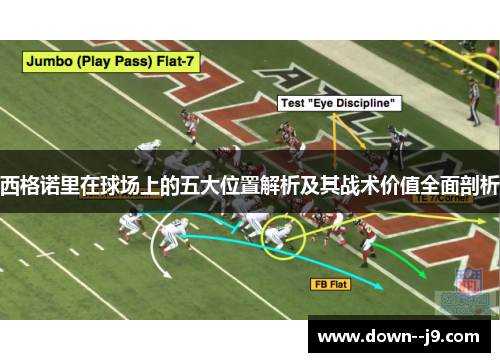 西格诺里在球场上的五大位置解析及其战术价值全面剖析